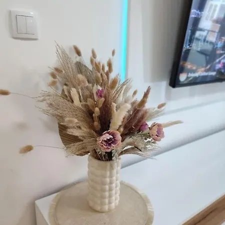 Apartment Golden Dream *