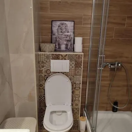 Apartment Golden Dream Pancevo